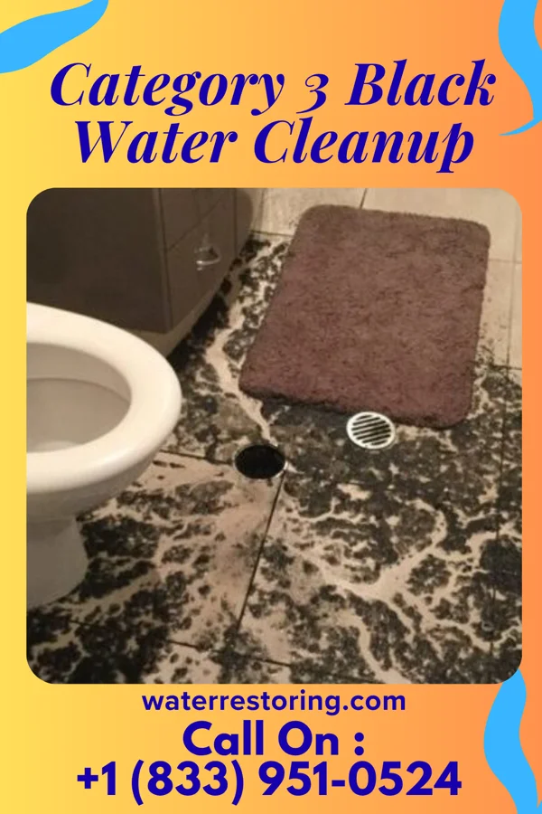 Category 3 Black Water Cleanup in Big Spring, TX